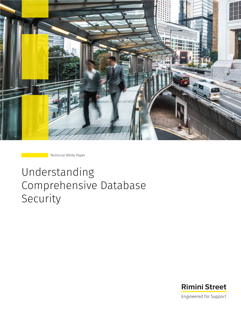 Understanding Comprehensive Database Security White Paper