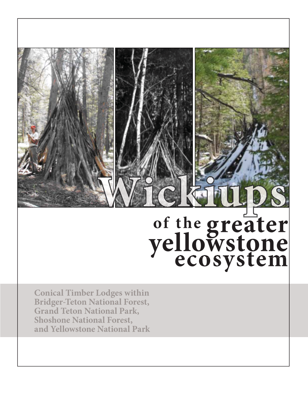 Yellowstone Ecosystem