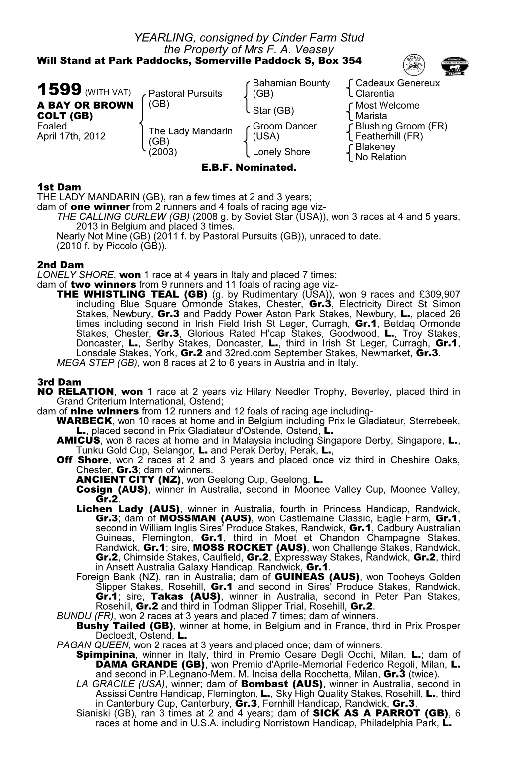 YEARLING, Consigned by Cinder Farm Stud the Property of Mrs F. A. Veasey Will Stand at Park Paddocks, Somerville Paddock S, Box 354