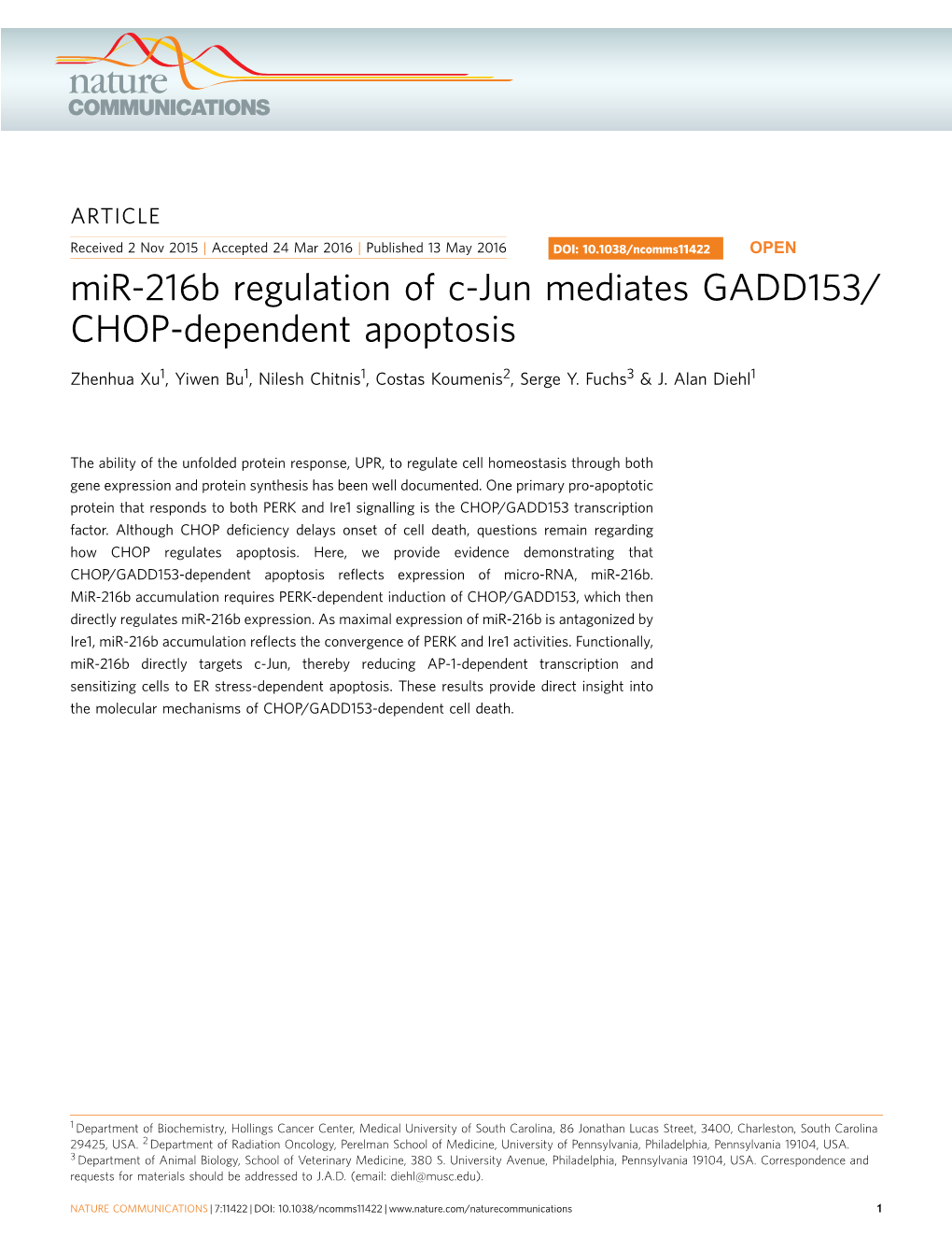 Mir-216B Regulation of C-Jun Mediates GADD153/CHOP