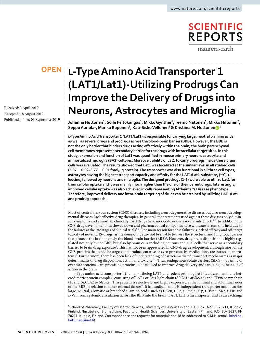 L-Type Amino Acid Transporter 1 (LAT1/Lat1)