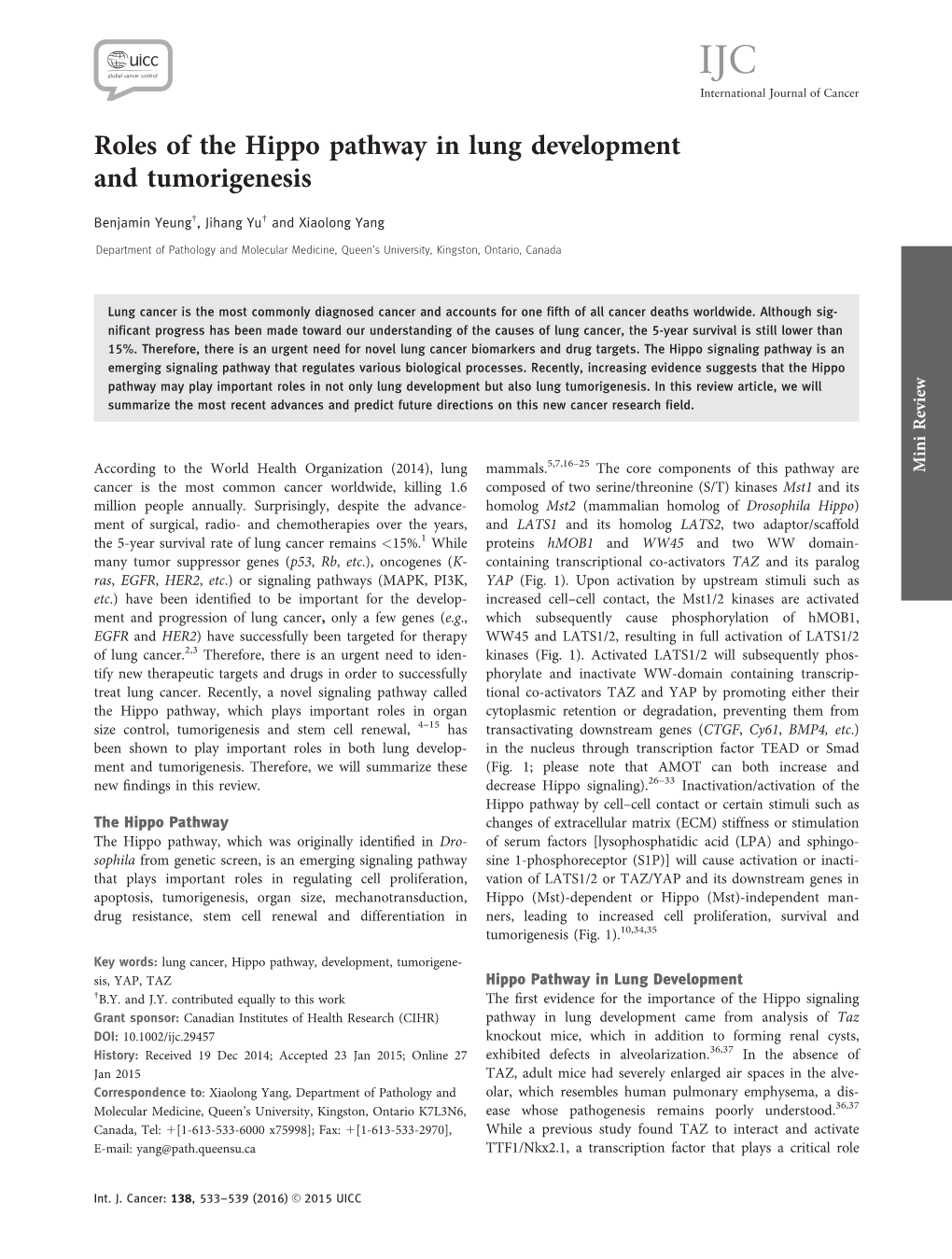 Roles of the Hippo Pathway in Lung Development and Tumorigenesis