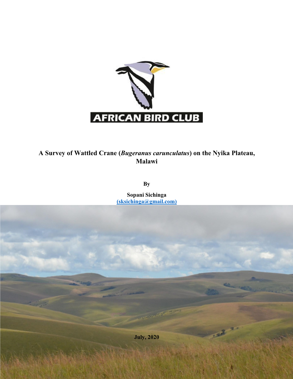 A Survey of Wattled Crane (Bugeranus Carunculatus) on the Nyika Plateau, Malawi