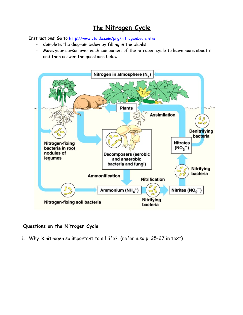 The Nitrogen Cycle