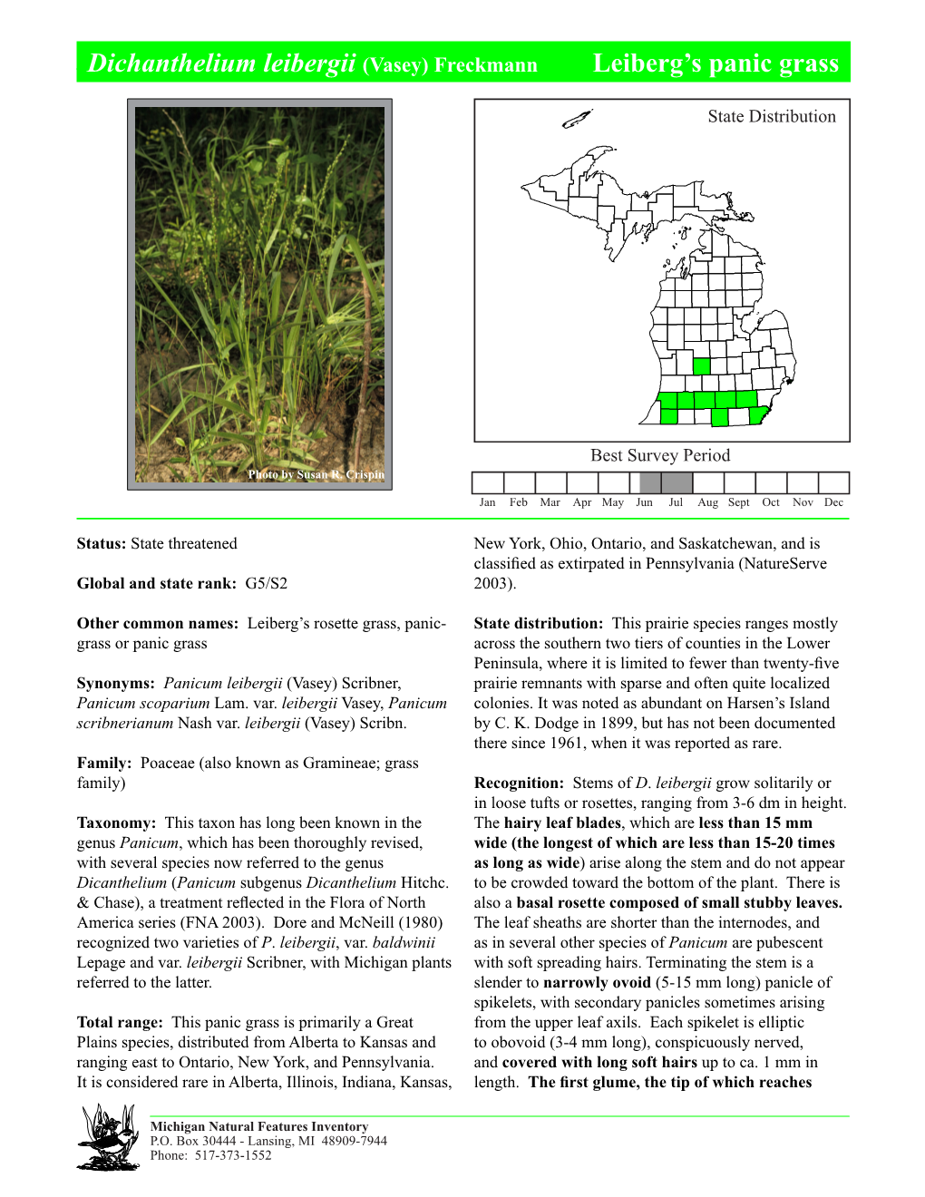 Dichanthelium Leibergii (Vasey) Freckmann Leiberg’S Panic Grass