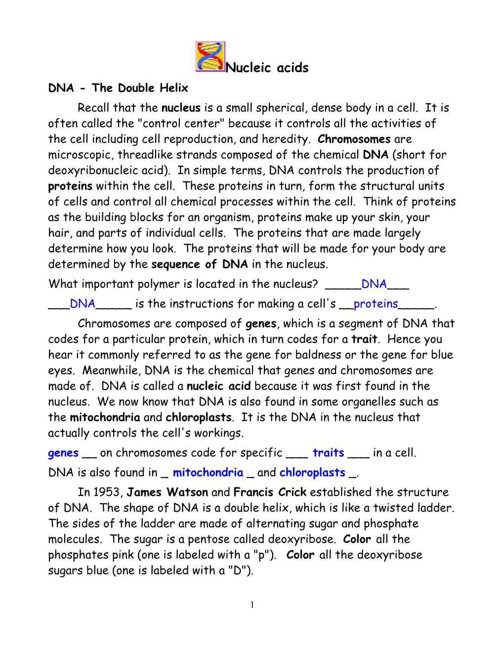 DNA Double Helix