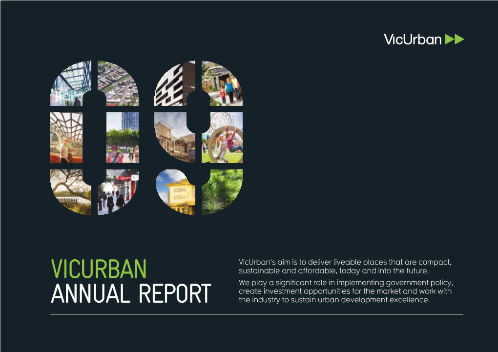 Vicurban Annual Report 08/09 01