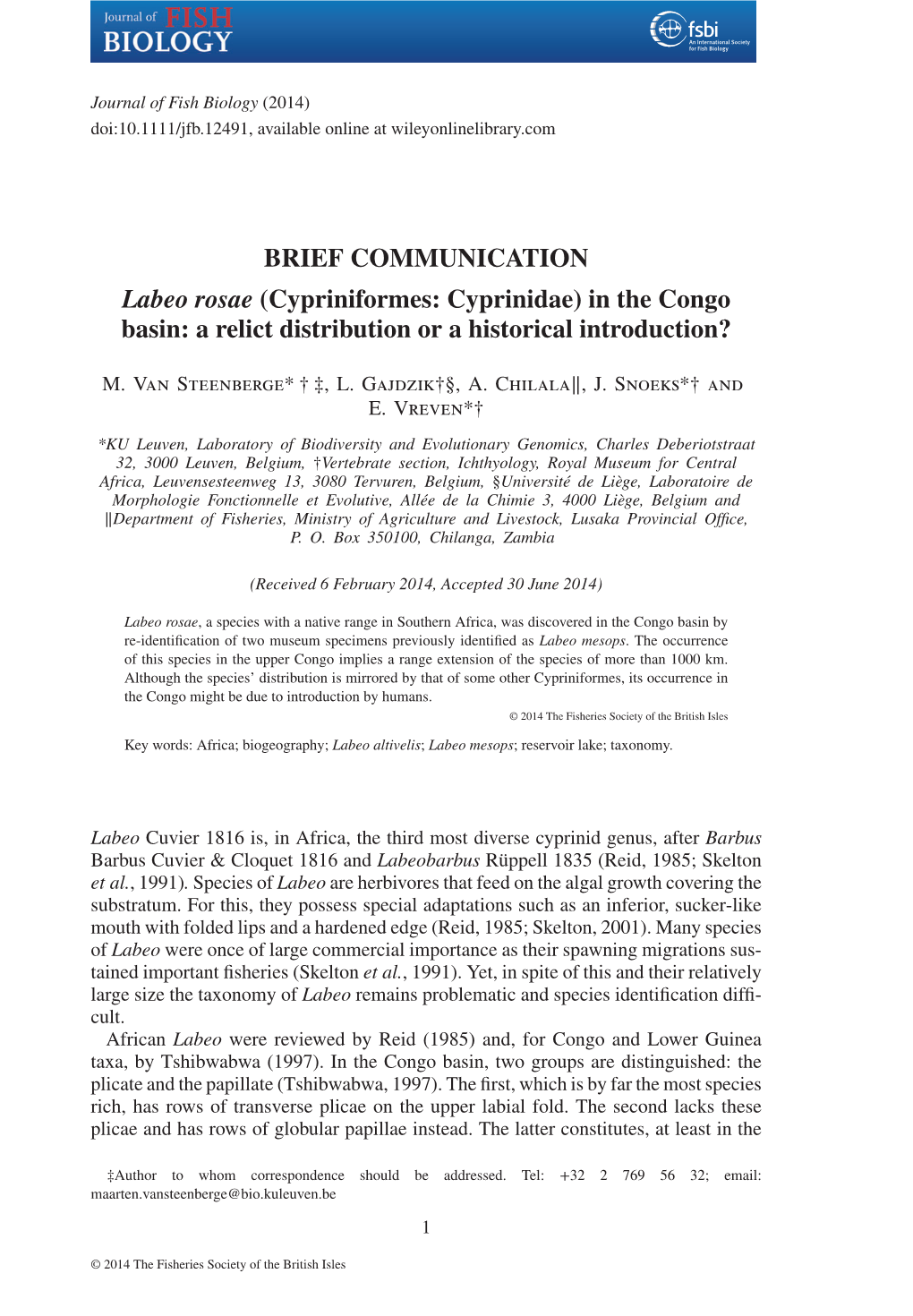 Labeo Rosae (Cypriniformes: Cyprinidae) in the Congo Basin: a Relict Distribution Or a Historical Introduction?