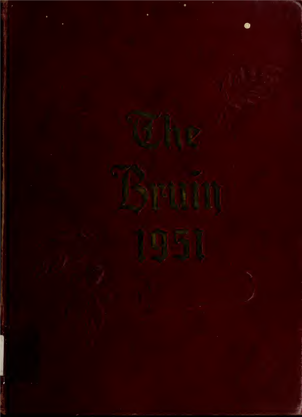 The Bruin [1951]