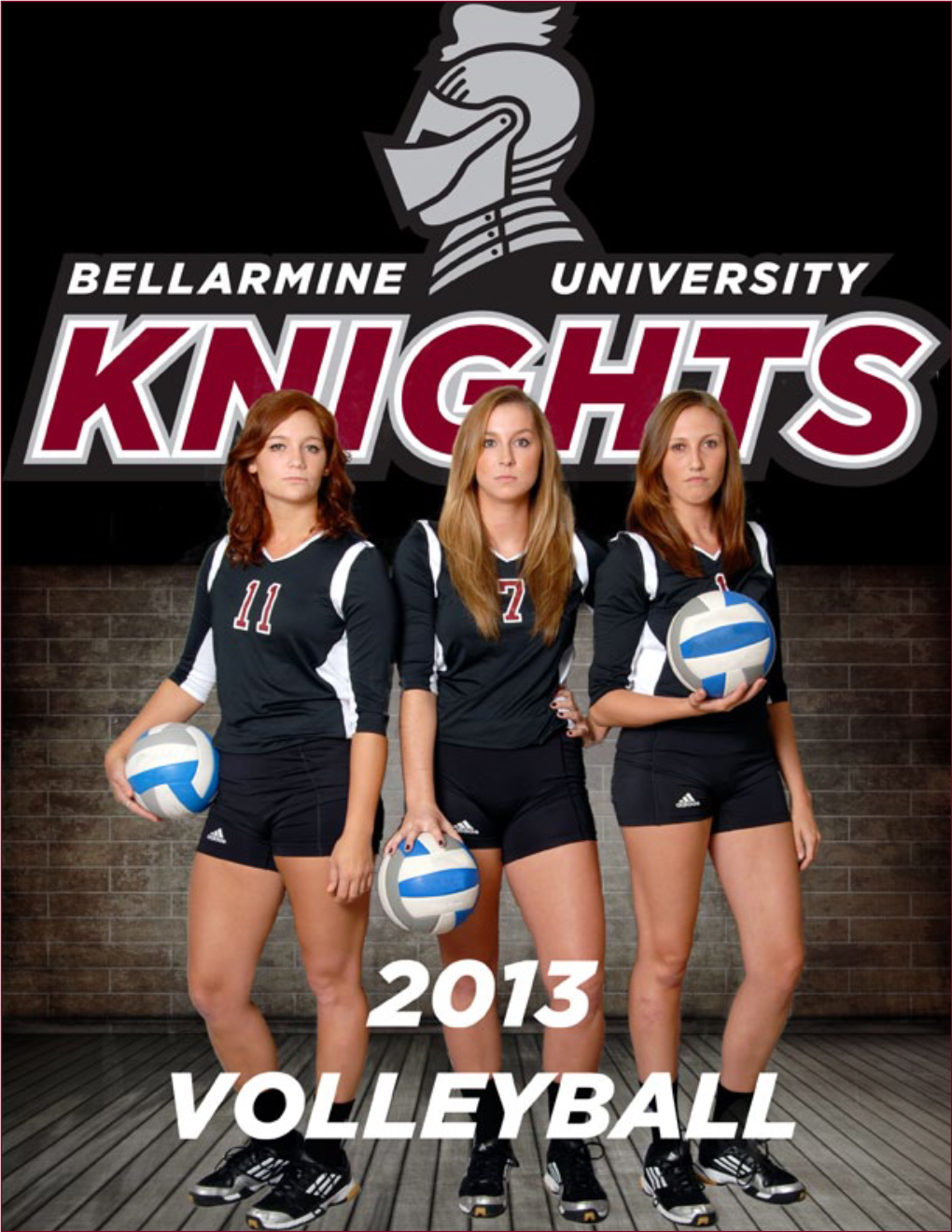 KNIGHTS VOLLEYBALL Updated 6/4/2013