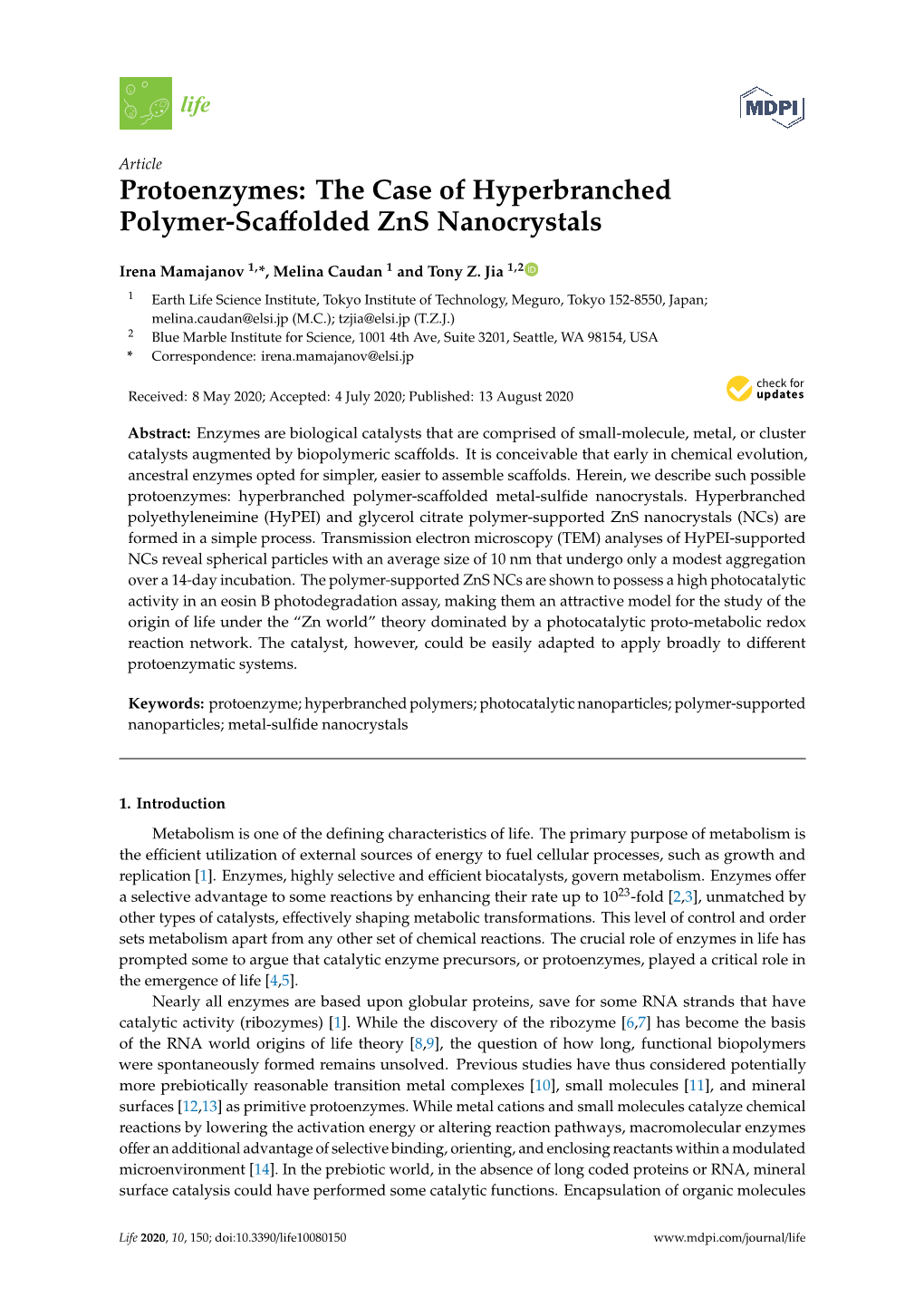 The Case of Hyperbranched Polymer-Scaffolded Zns