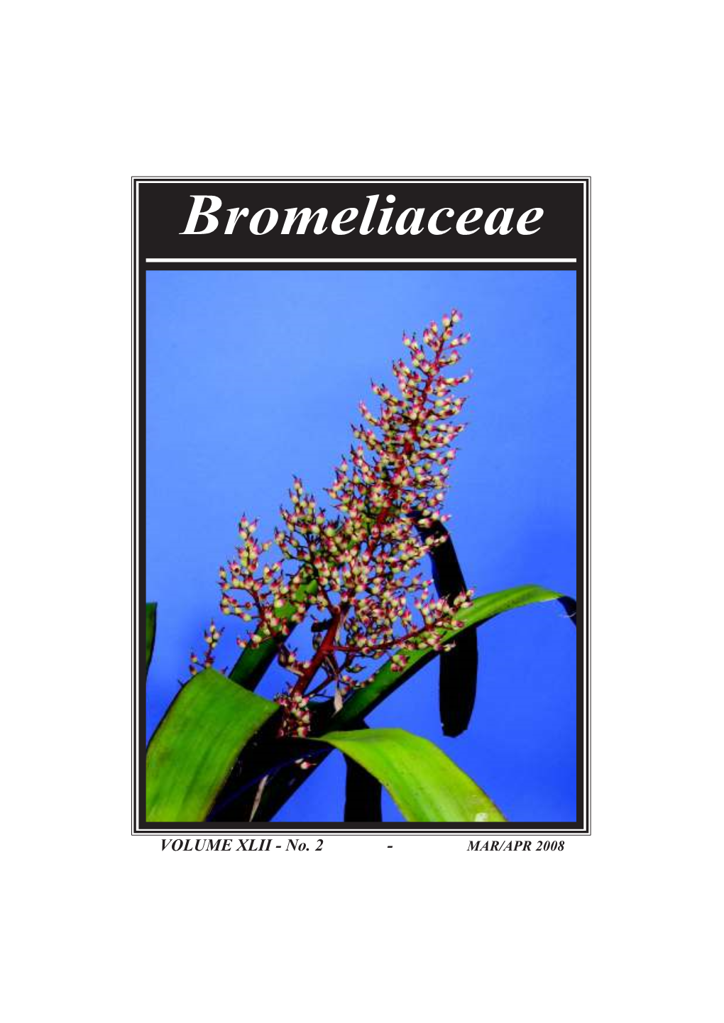 Bromeliaceae