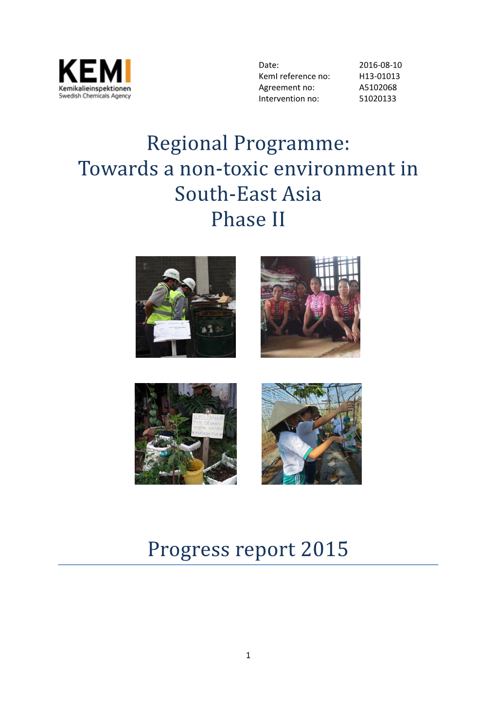 Progress Report 2015: Towards a Non-Toxic Environment in South