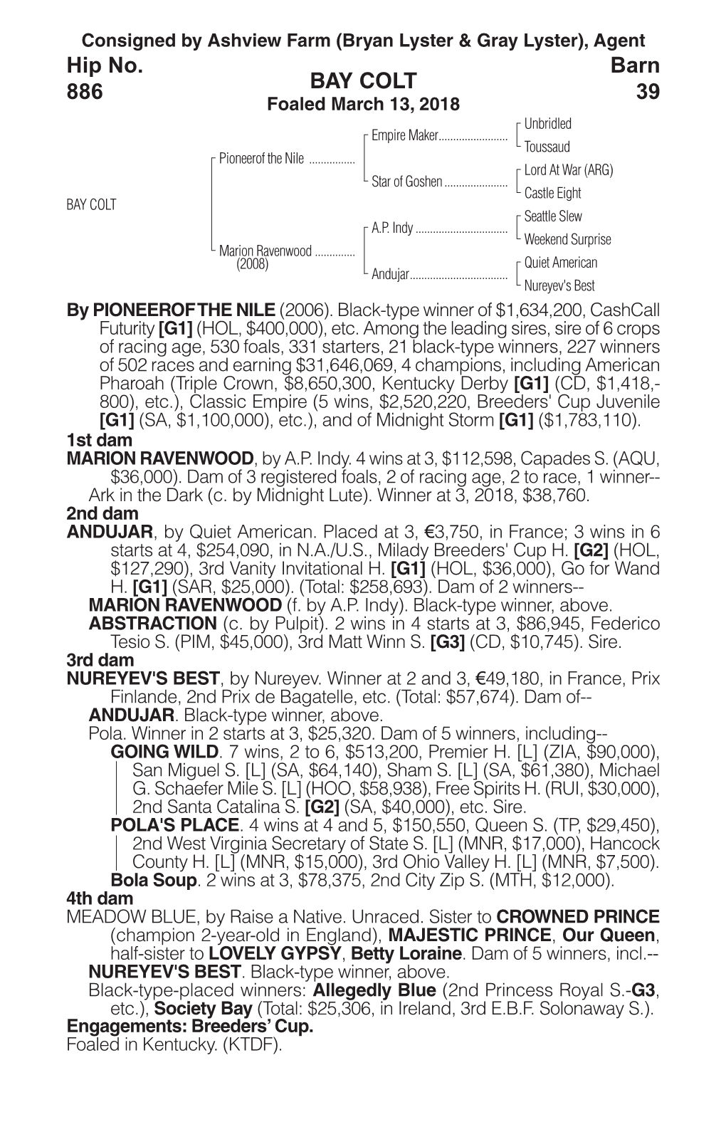 BAY COLT Barn 39 Hip No