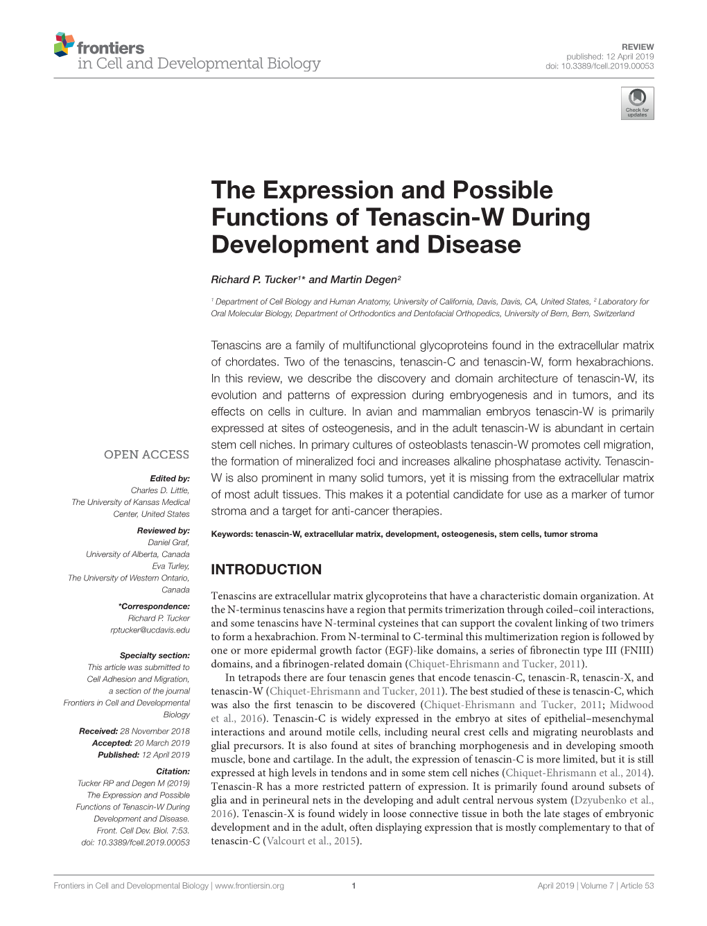 The Expression and Possible Functions of Tenascin-W During Development and Disease