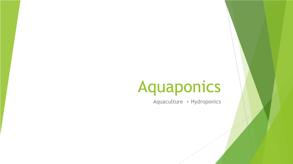 Aquaponics Aquaculture + Hydroponics Aquaponics