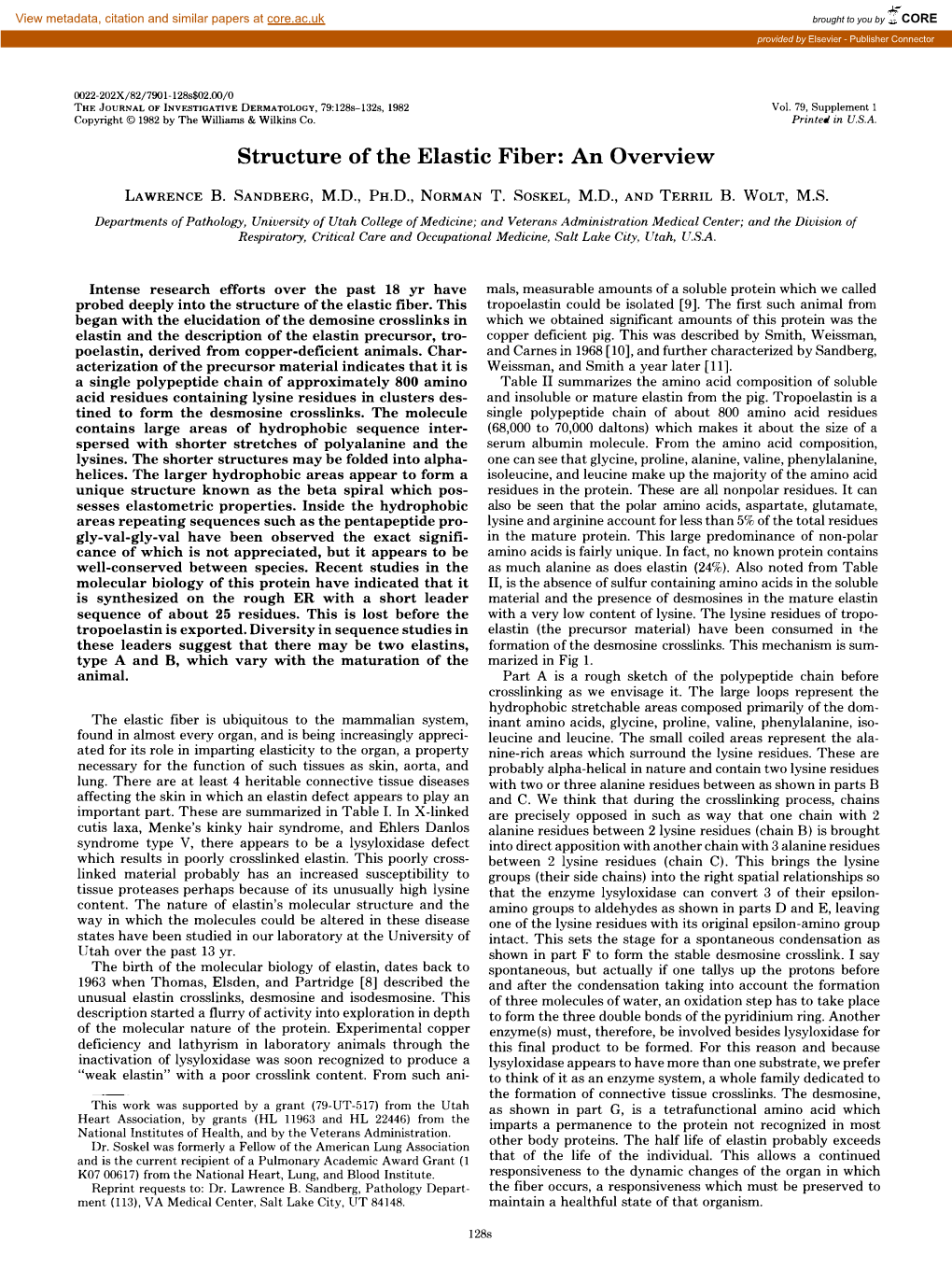 Structure of the Elastic Fiber: an Overview