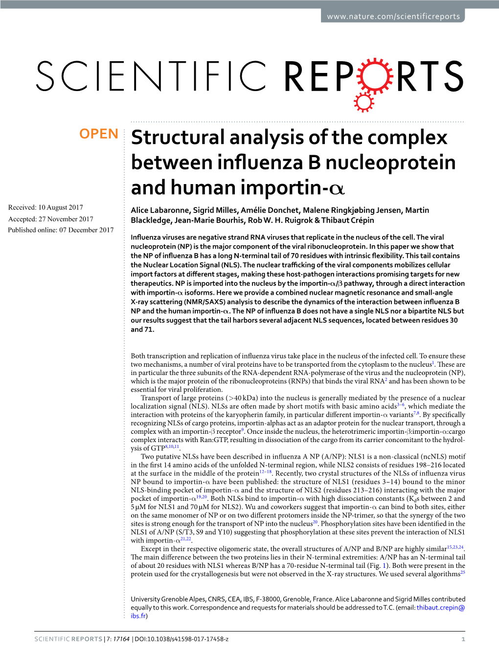 Structural Analysis of the Complex Between Influenza B Nucleoprotein