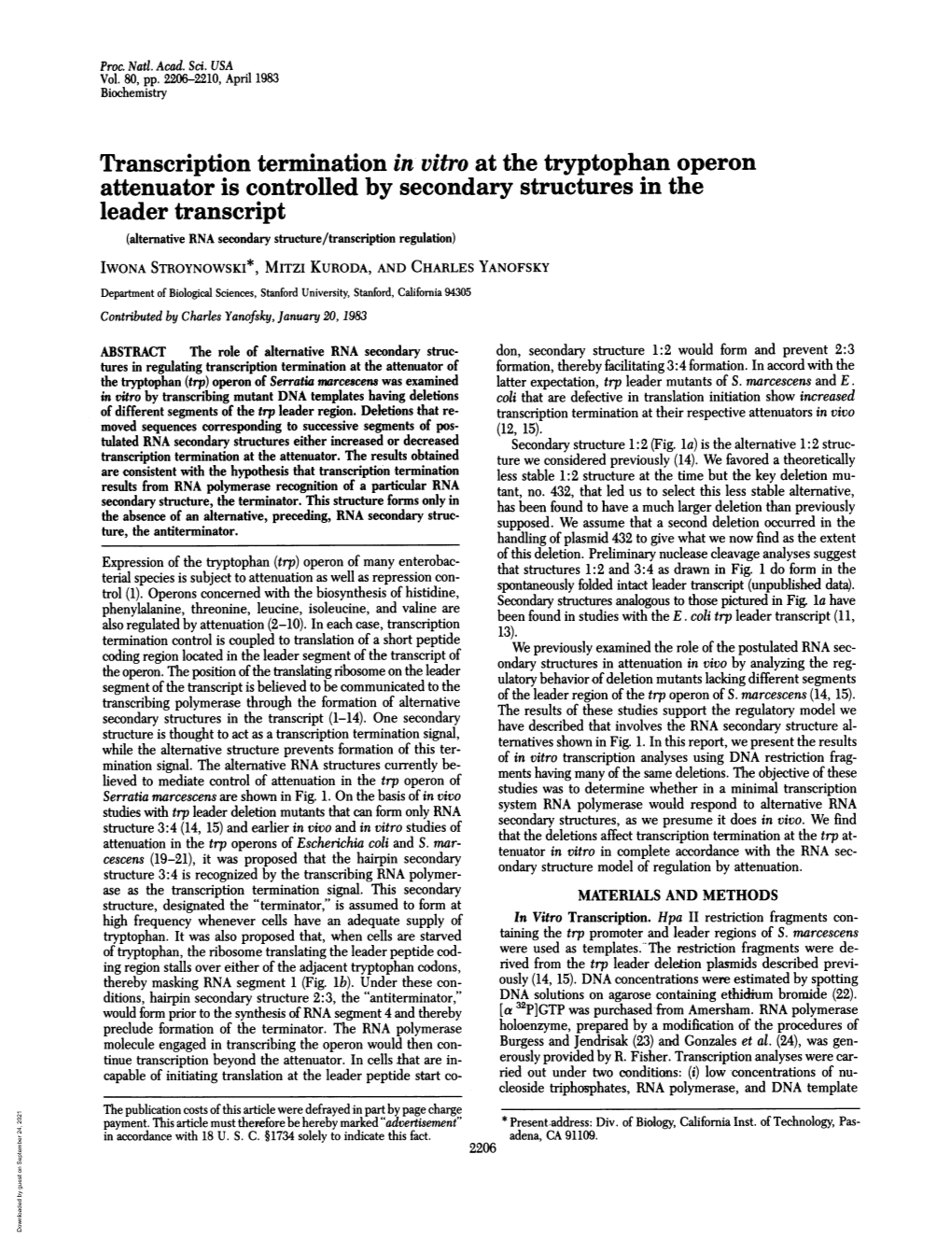 Transcription Termination in Vitro at the Tryptophan Operon Attenuator Is