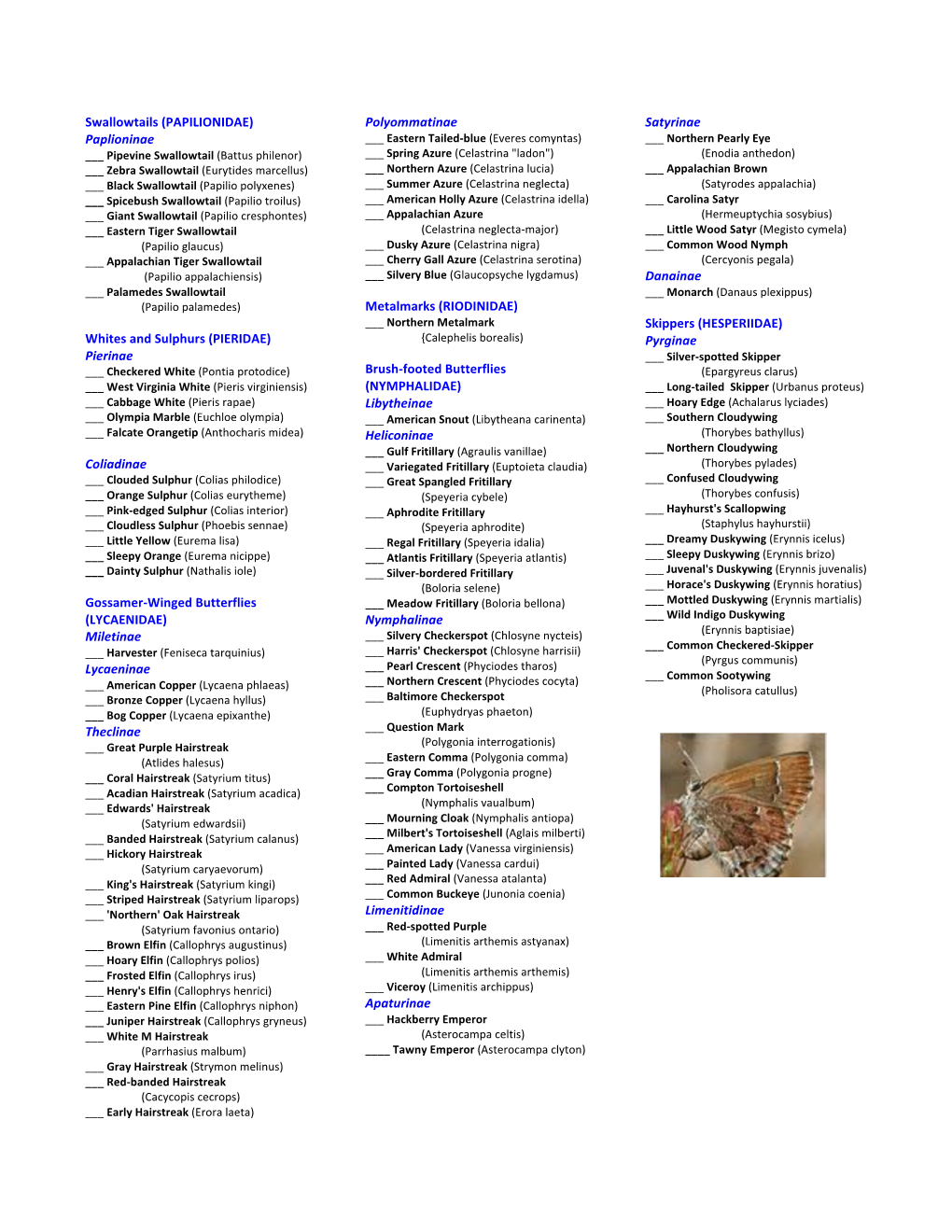 Maryland Butterfly Field Checklist 2019 Revision