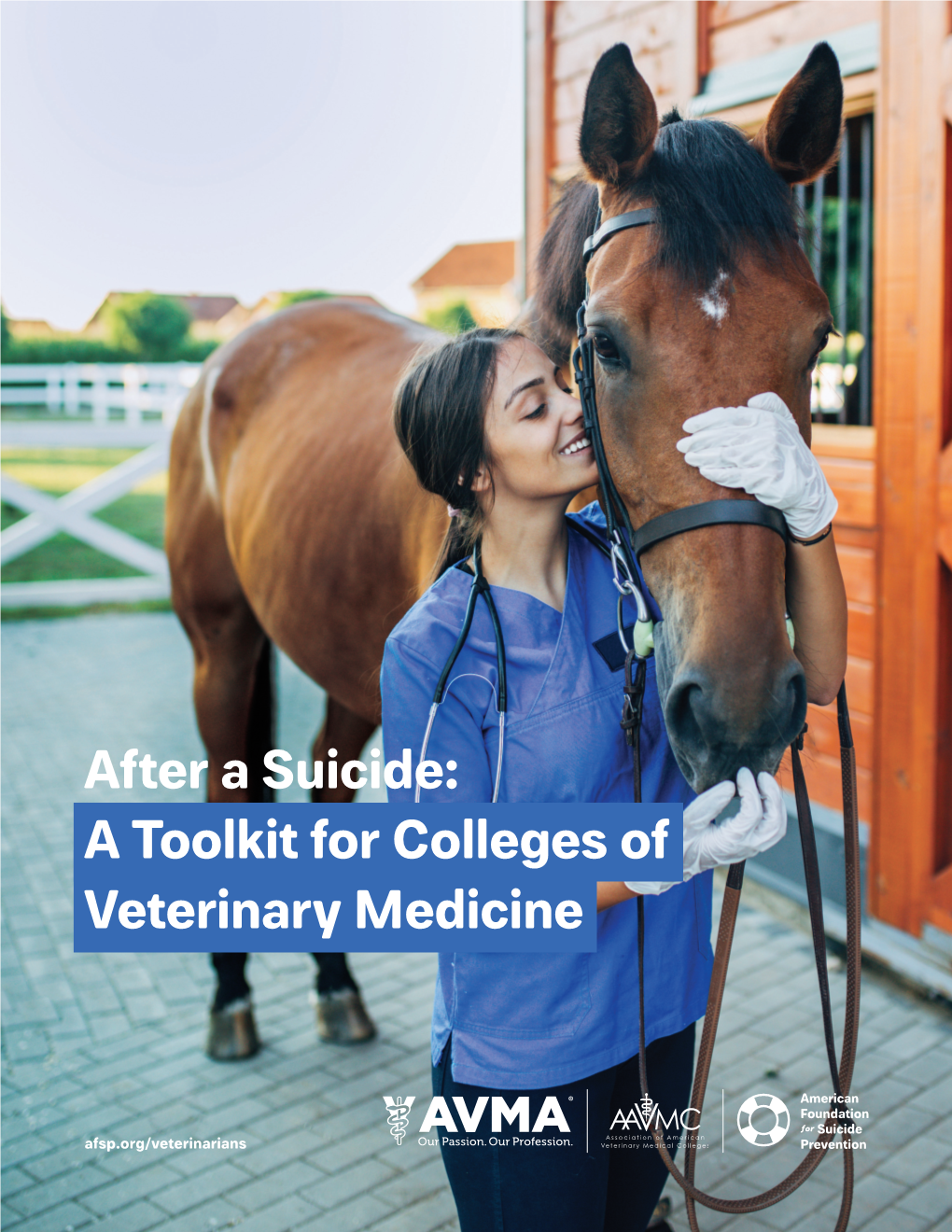 After a Suicide: a Toolkit for Colleges of Veterinary Medicine