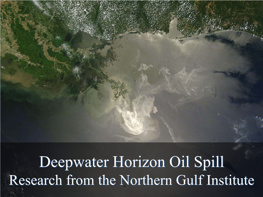 Research Following the Deepwater Horizon Oil