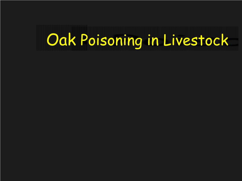 Oak Poisoning in Livestock Oak Species