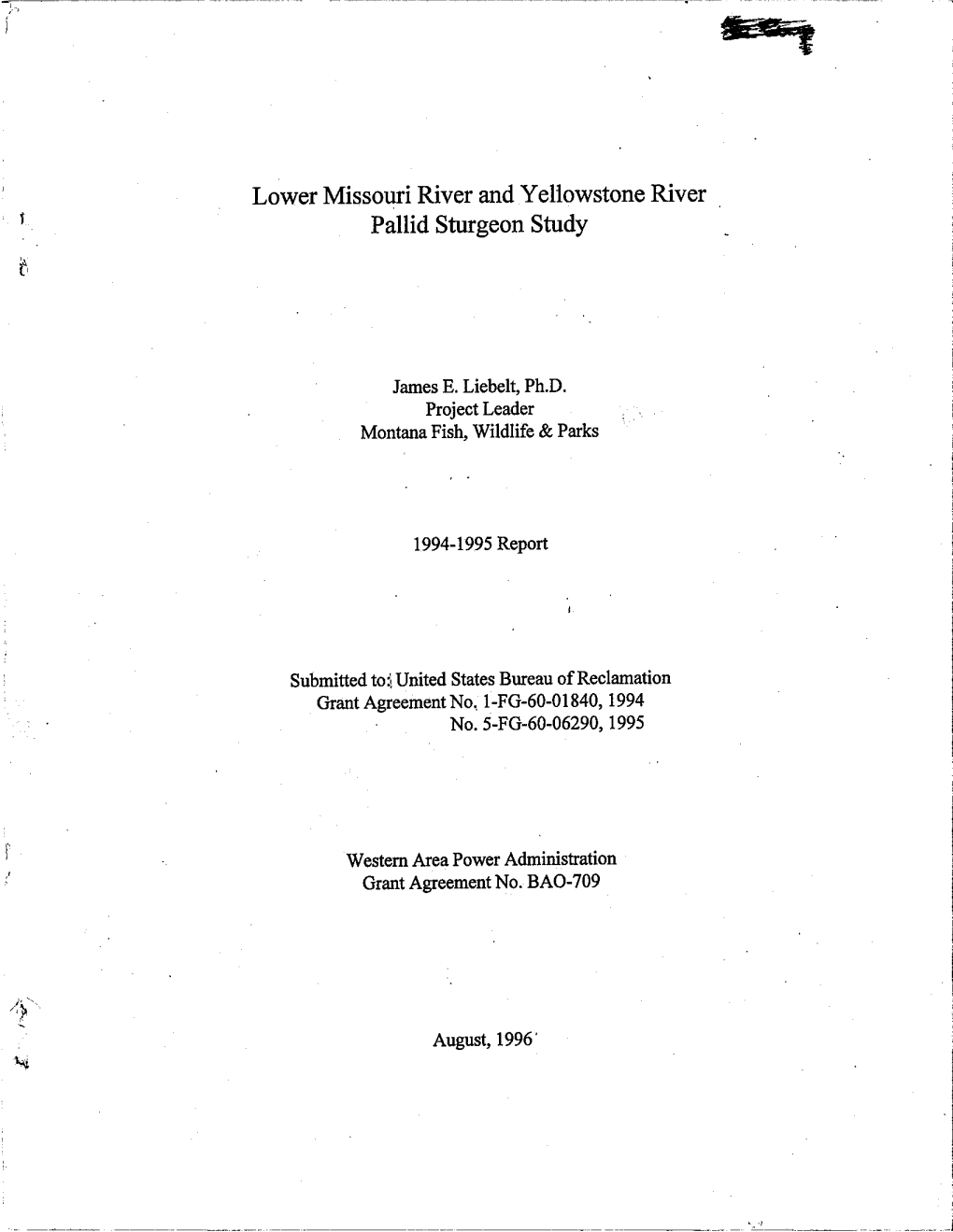 Lower Missouri River and Yeliowstone River Pallid Sturgeon Study