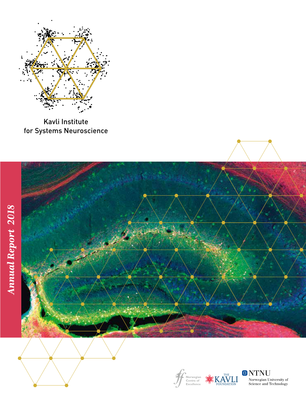 Annual Report 2018 for Systems Neuroscience Kavli Institute Spindle