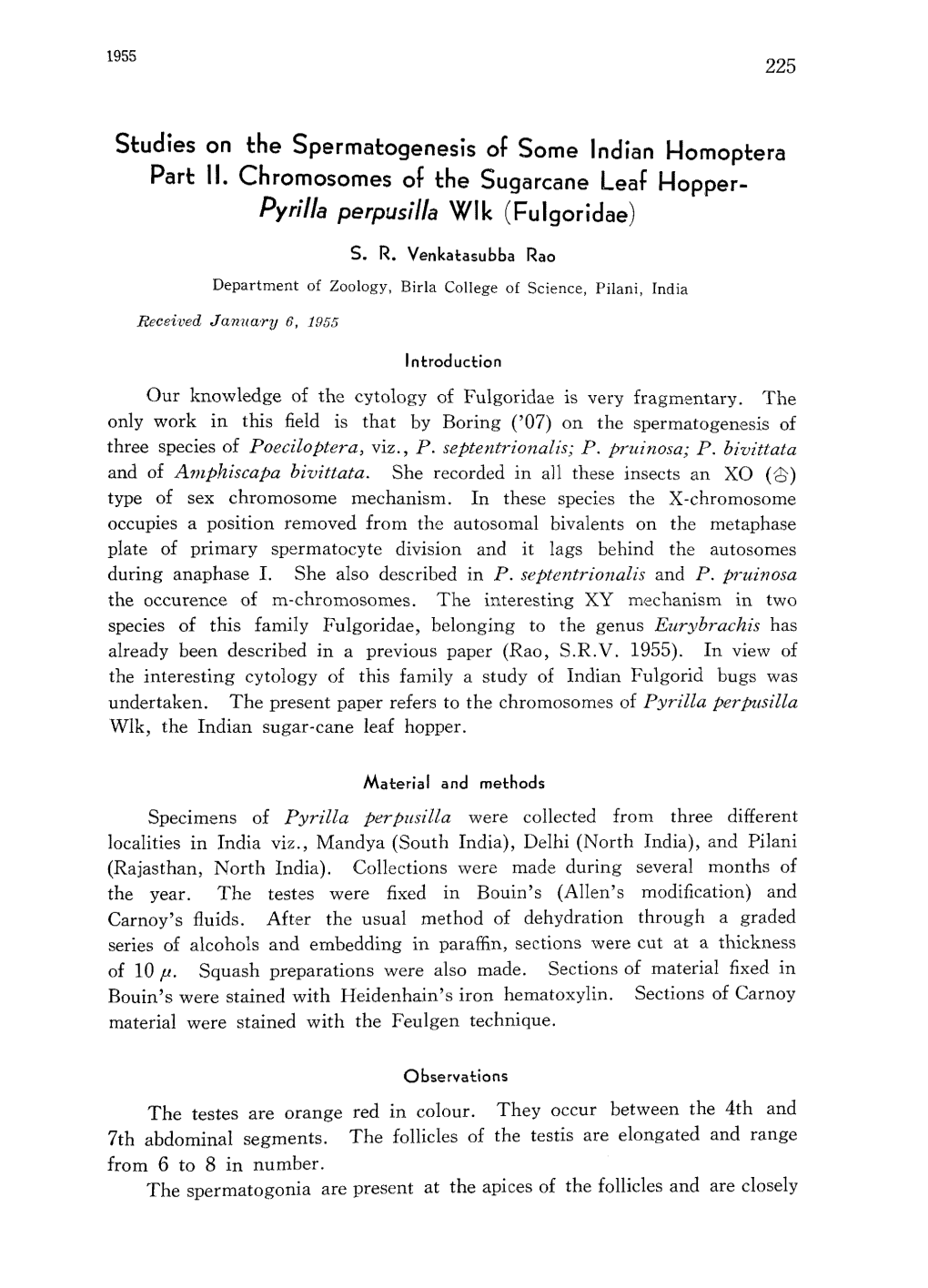 Studies on the Spermatogenesis of Some Indian Homoptera Part II