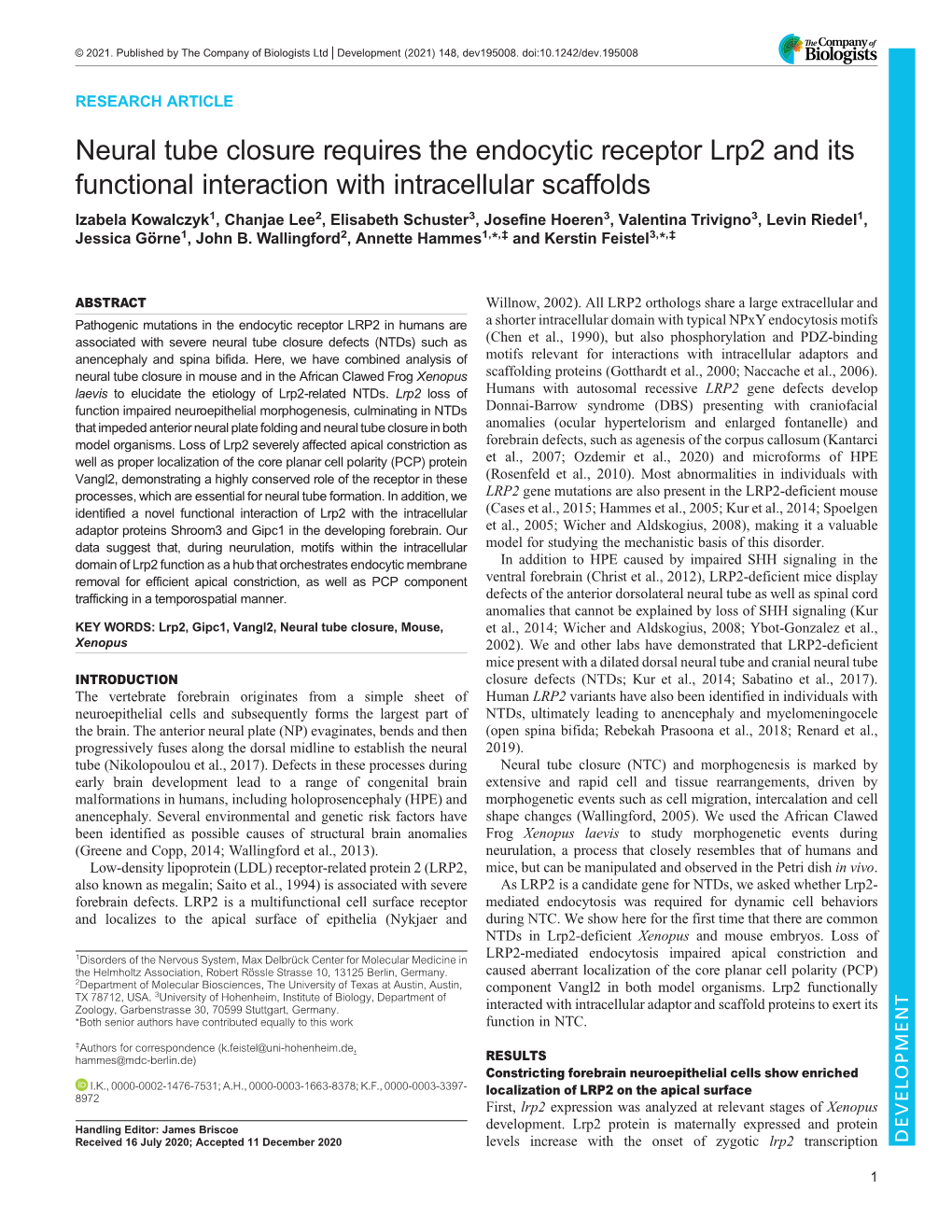 Neural Tube Closure Requires the Endocytic Receptor Lrp2 and Its