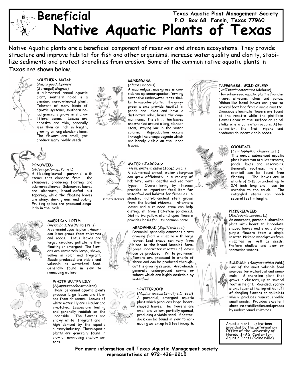 Harmful Non-Native Aquatic Plants in Texas