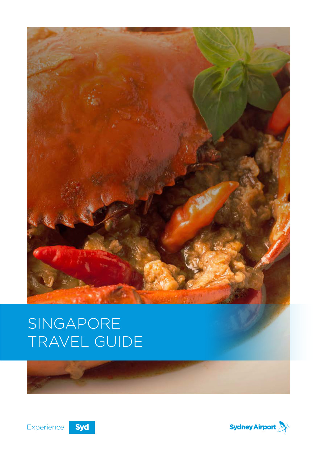 SINGAPORE TRAVEL GUIDE This Travel Guide Is for Your General Information Only and Is Not Intended As Advice