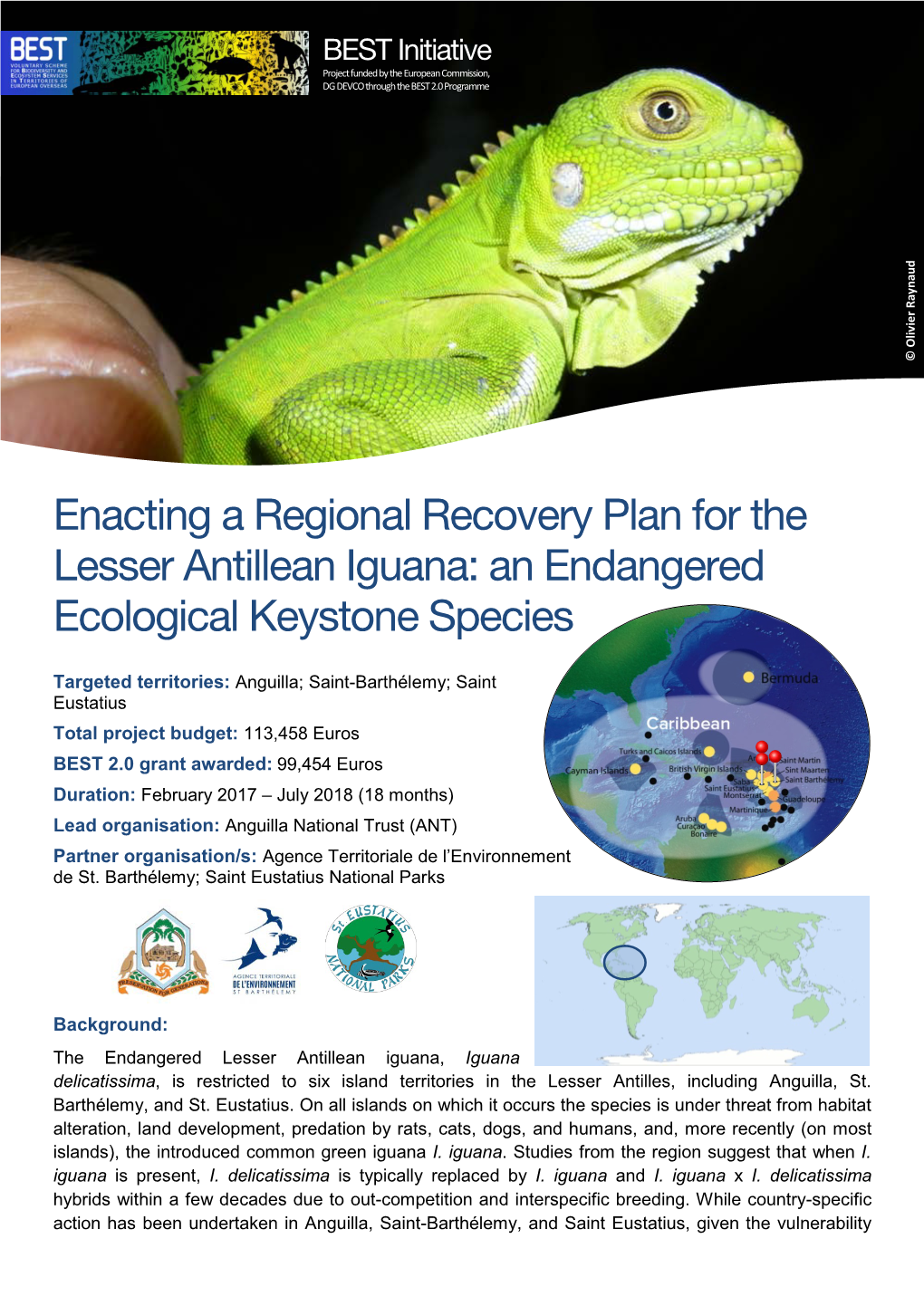 Enacting a Regional Recovery Plan for the Lesser Antillean Iguana: an Endangered Ecological Keystone Species