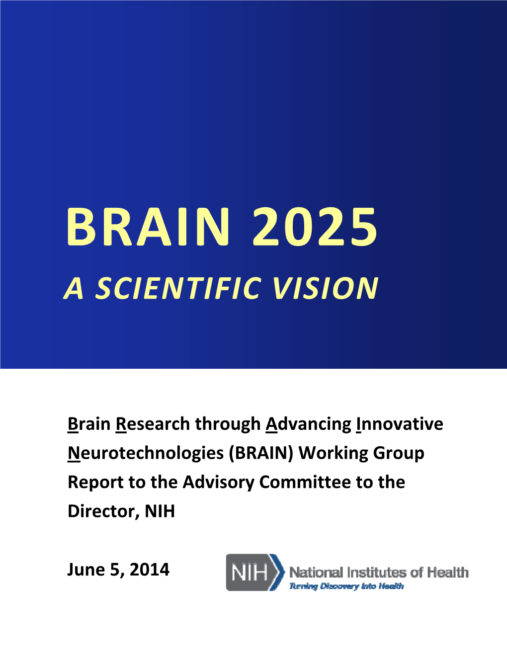 BRAIN 2025: a Scientific Vision