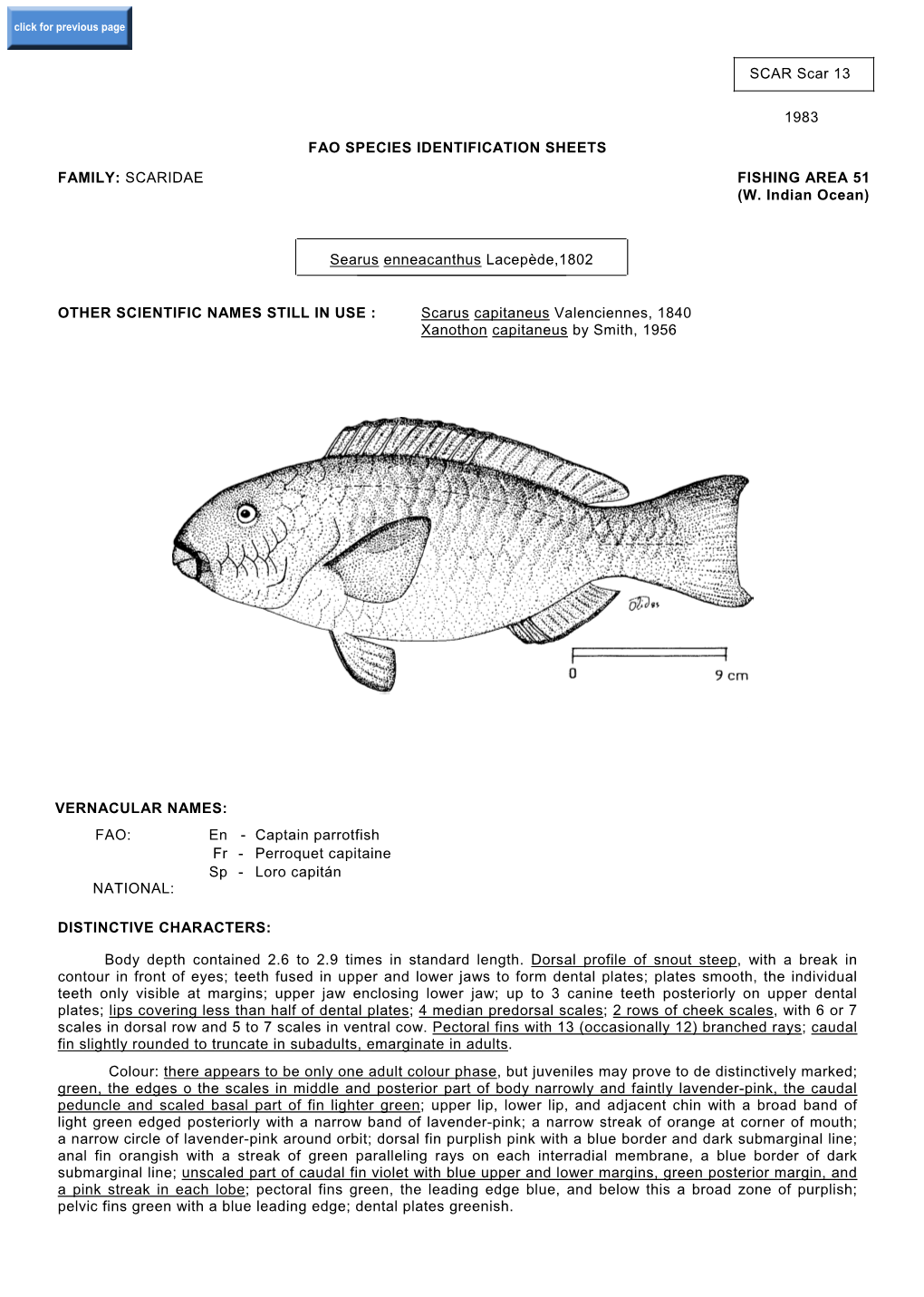 Scaridae Fishing Area 51 (W