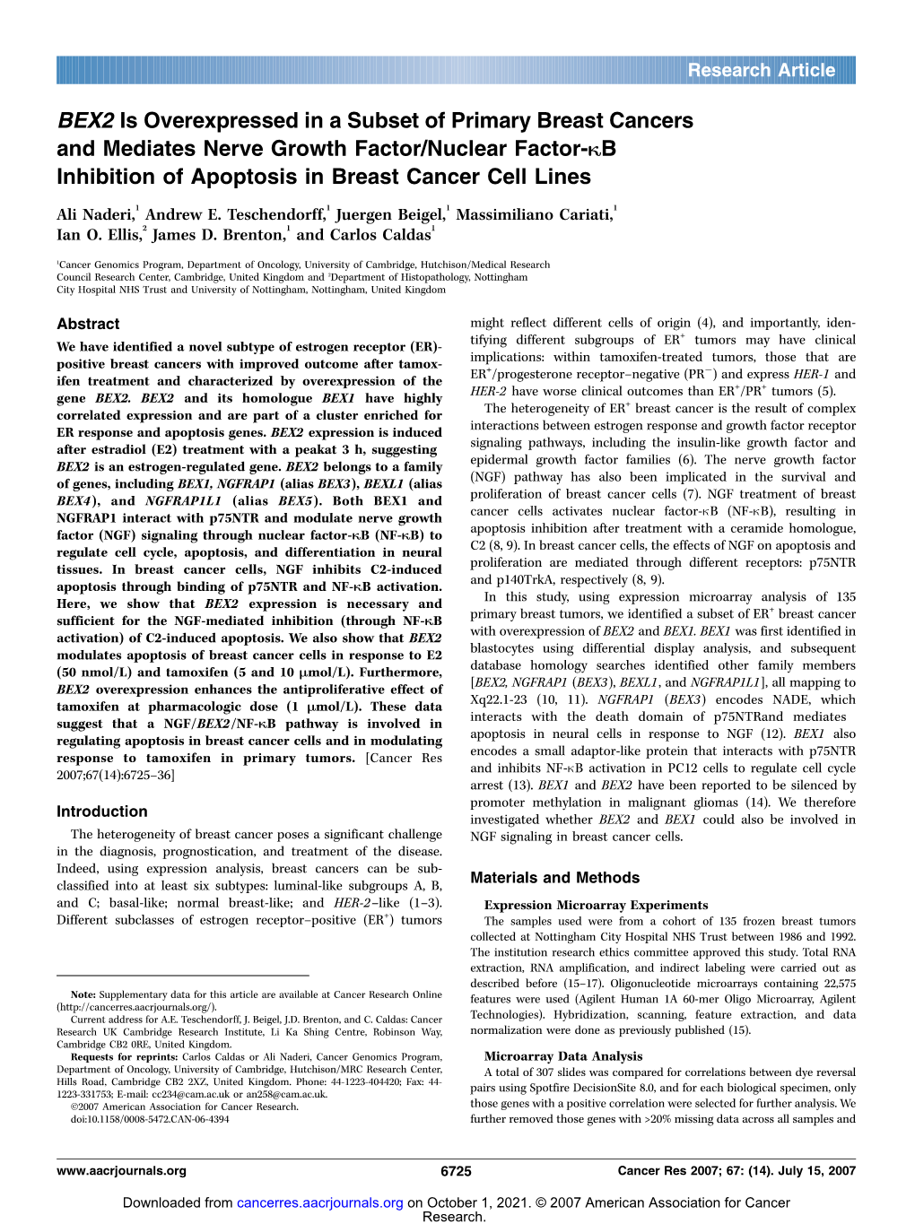 BEX2 Is Overexpressed in a Subset of Primary Breast Cancers and Mediates Nerve Growth Factor/Nuclear Factor-KB Inhibition of Apoptosis in Breast Cancer Cell Lines