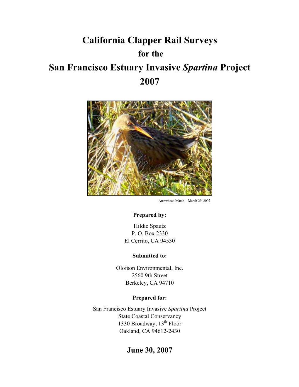 California Clapper Rail Surveys San Francisco Estuary Invasive