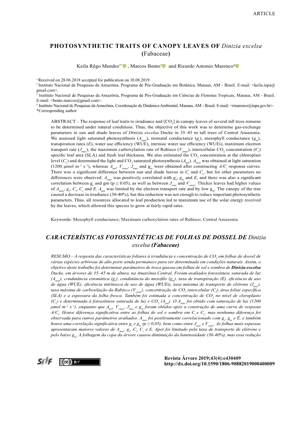 PHOTOSYNTHETIC TRAITS of CANOPY LEAVES of Dinizia Excelsa (Fabaceae)