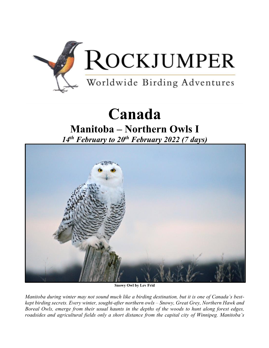 Canada Manitoba – Northern Owls I 14Th February to 20Th February 2022 (7 Days)