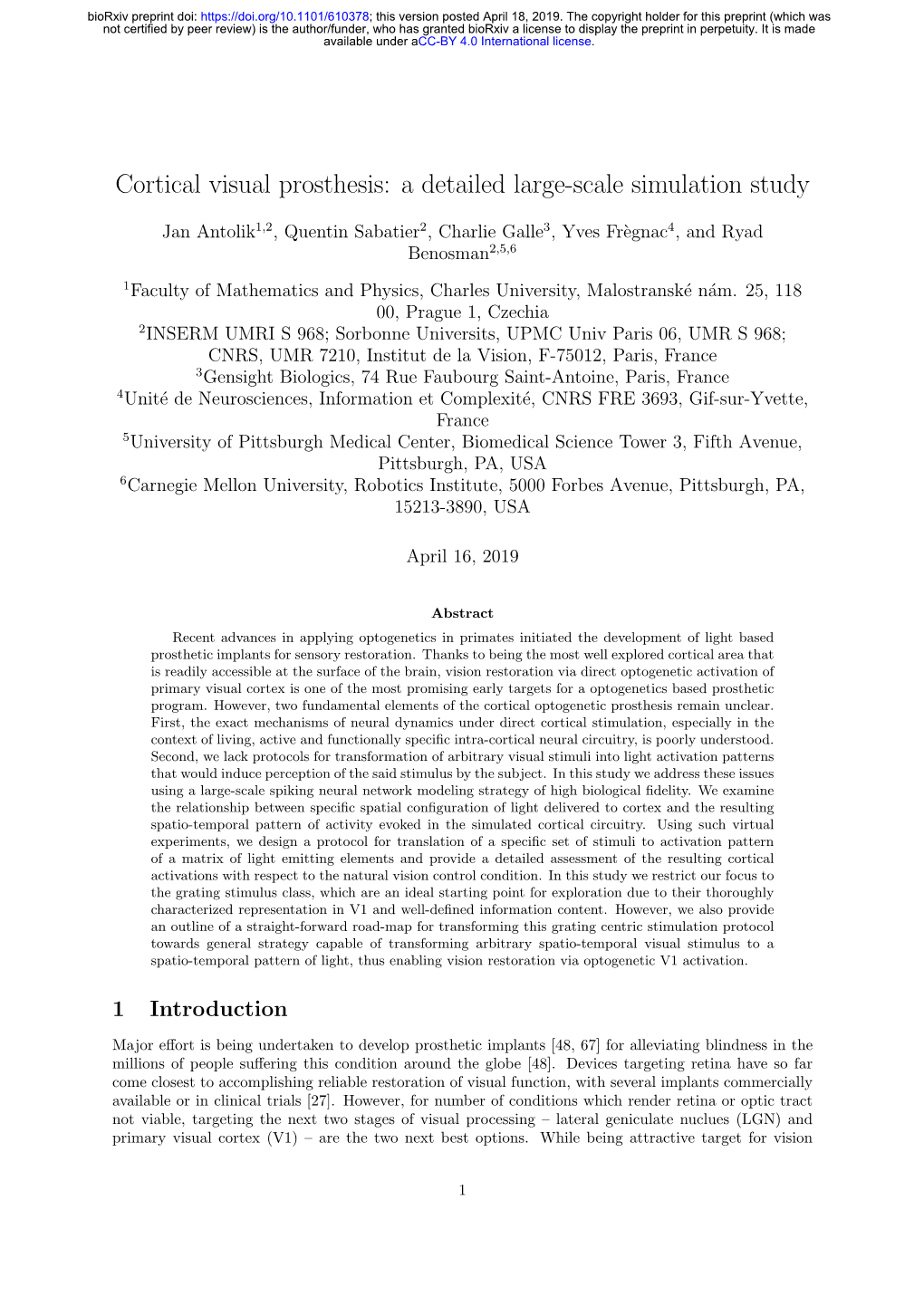 Cortical Visual Prosthesis: a Detailed Large-Scale Simulation Study