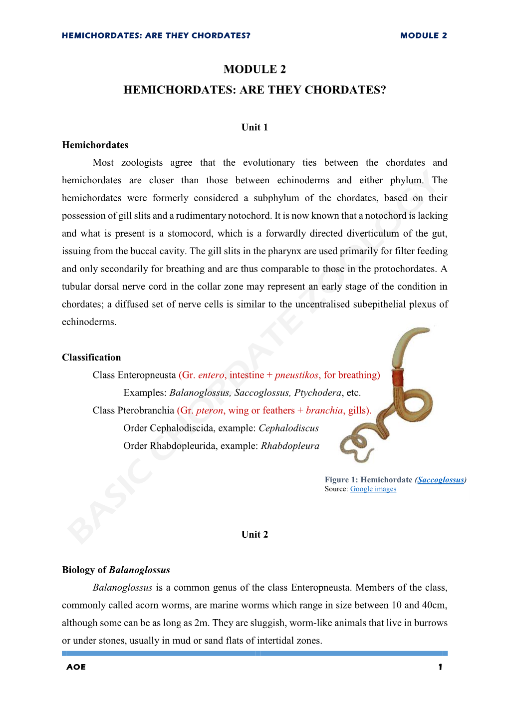 Hemichordates: Are They Chordates? Module 2