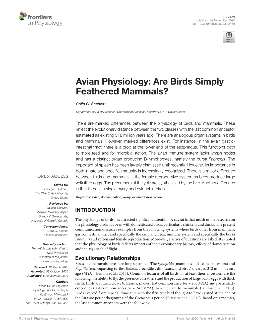 Avian Physiology: Are Birds Simply Feathered Mammals?