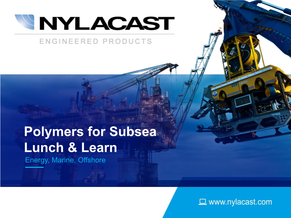 Polymers for Subsea Lunch & Learn