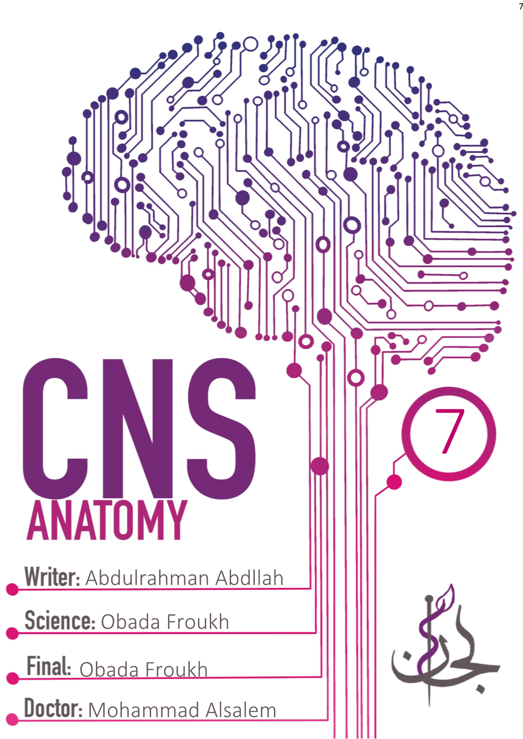 Brain Stem: -Reminder: Hindbrain Consists of Medulla, Pons, and Cerebellum