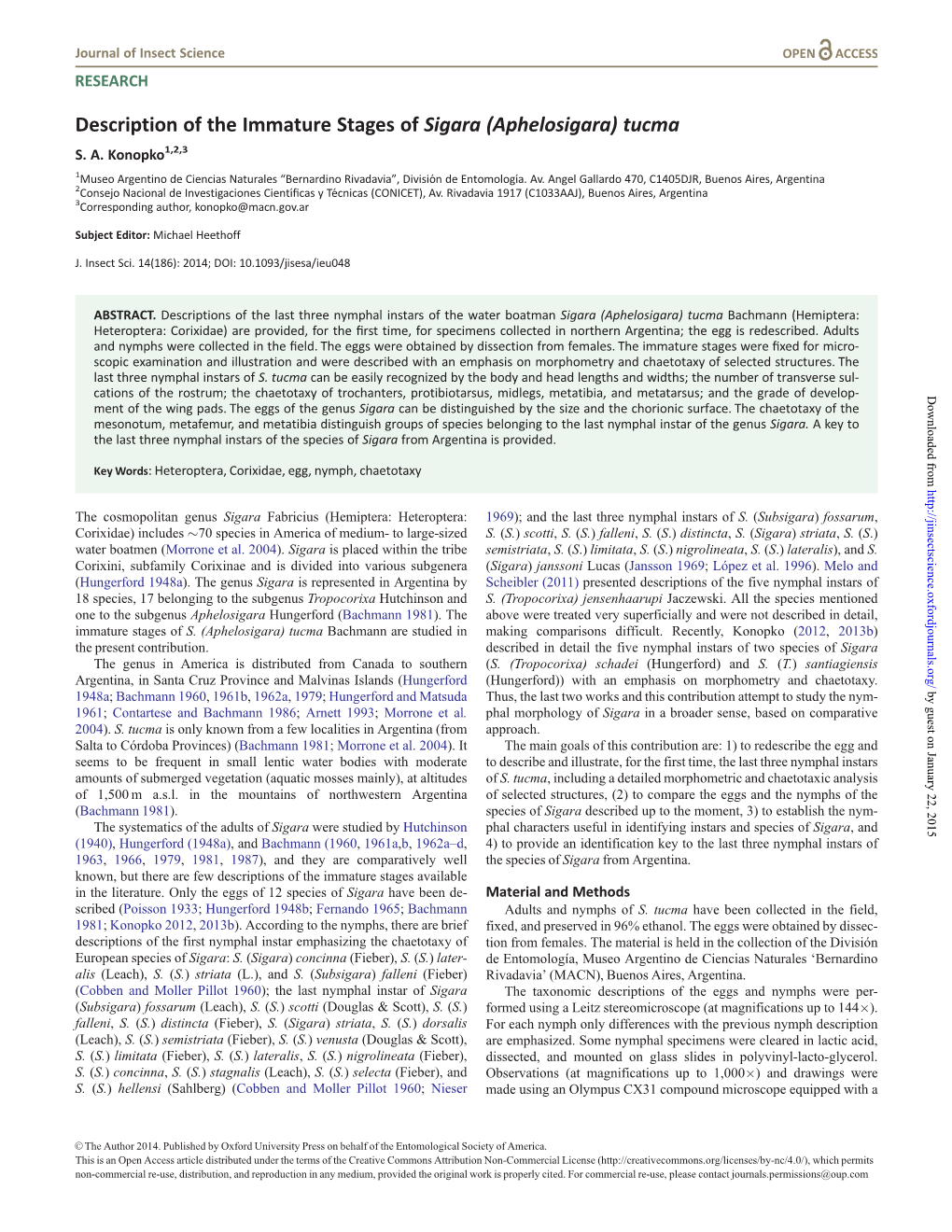 Description of the Immature Stages of Sigara (Aphelosigara) Tucma S