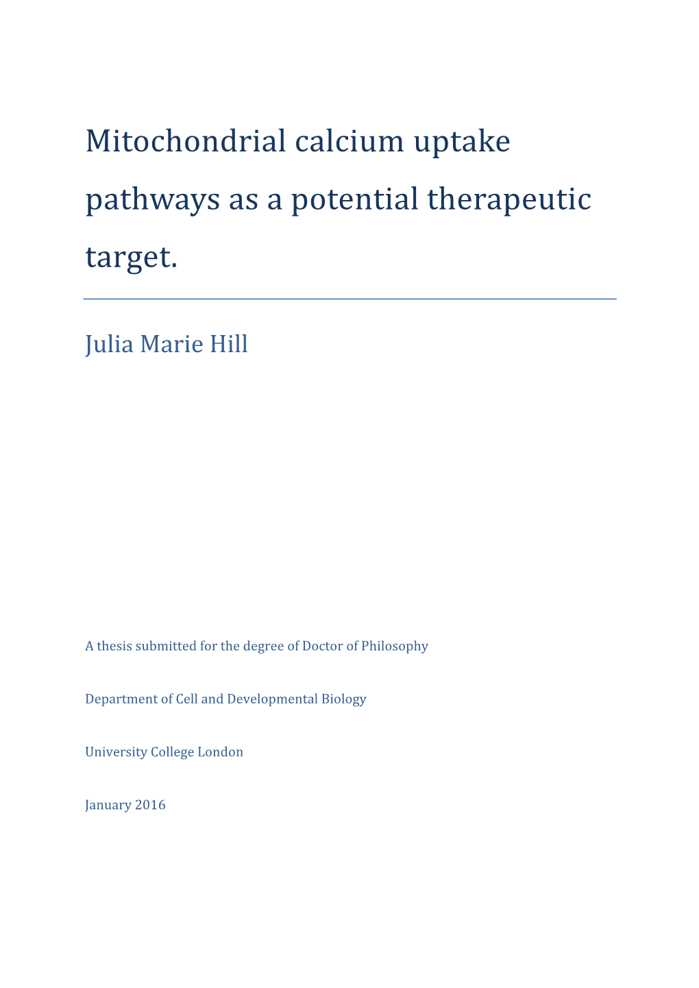 Mitochondrial Calcium Uptake Pathways As a Potential Therapeutic Target