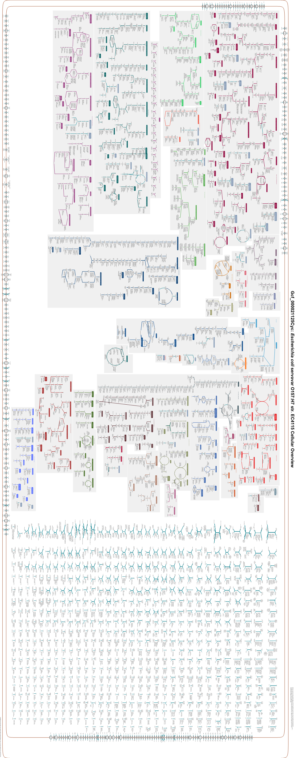 Generate Metabolic Map Poster