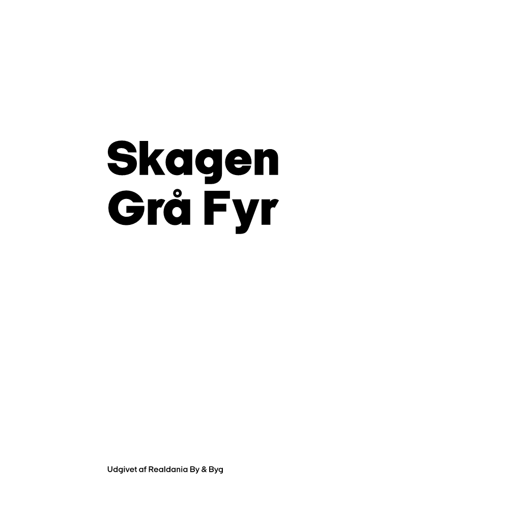 Download Bogen Om Skagen Grå