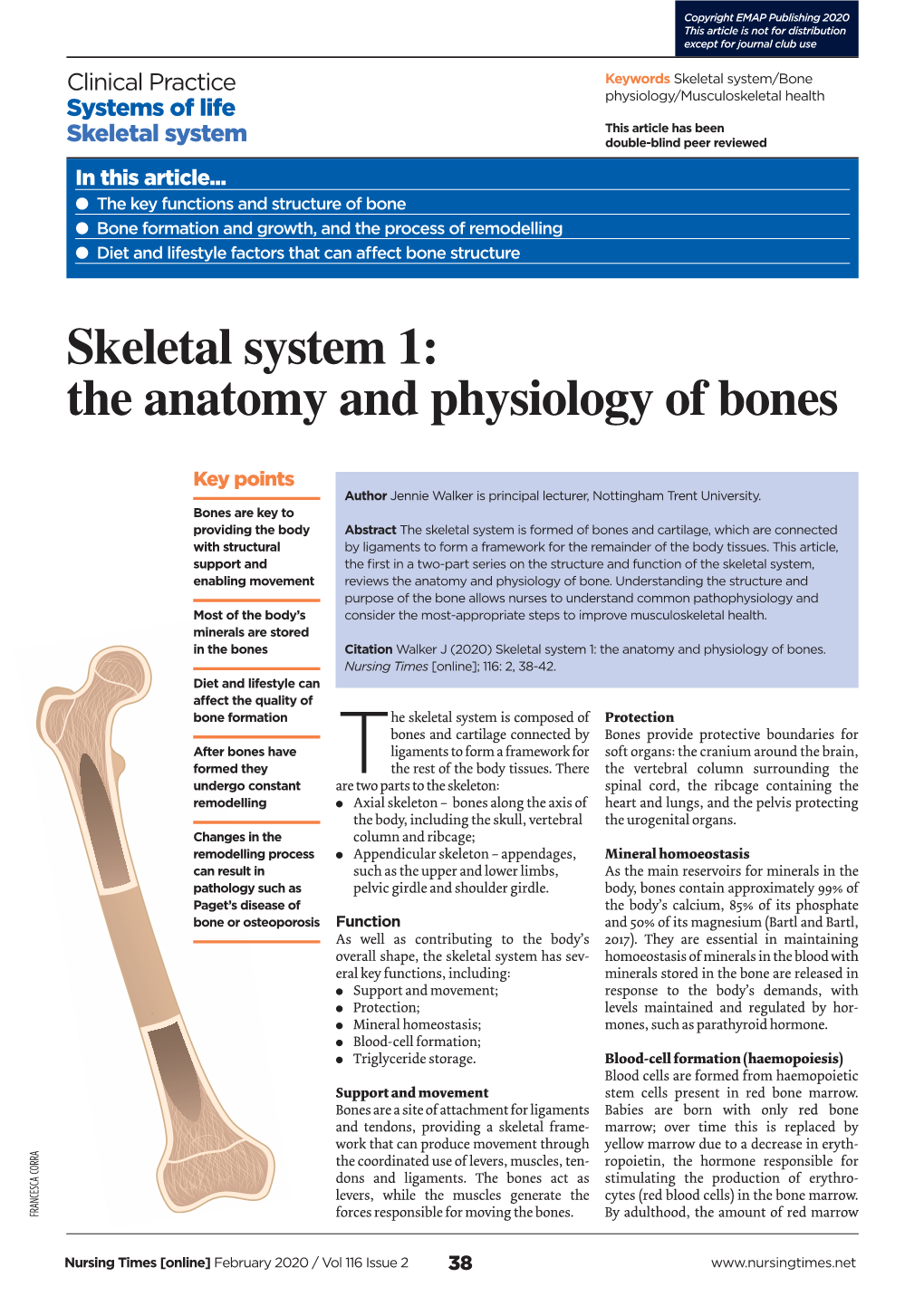 Skeletal System 1: the Anatomy and Physiology of Bones